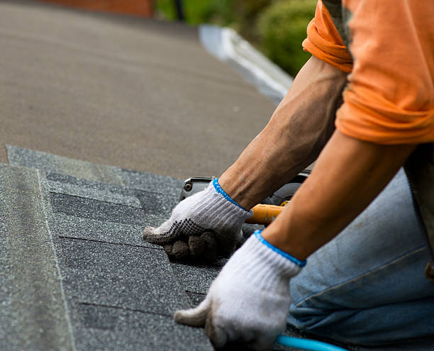 Best Roof Maintenance Services  in Marshville, NC